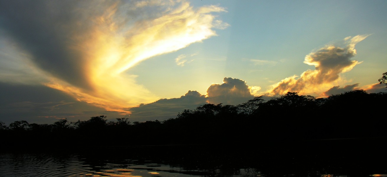 Jungle: Cuyabeno Reserve (Add-on) 5