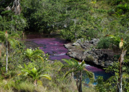 Nature & Culture of Colombia 1