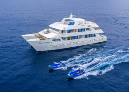 Treasure of Galapagos 8