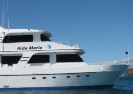Aida Maria 9