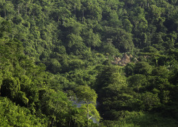 Kogi settlement on the palomino river banks (photo: Juan Carlos Gonzalez)