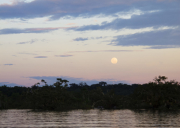 Cuyabeno Reserve (+)
