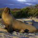 Galapagos: San Cristobal & Santa Cruz