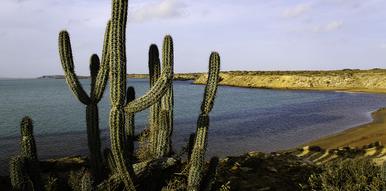 Alta Guajira (photo: Juan Carlos Gonzalez)