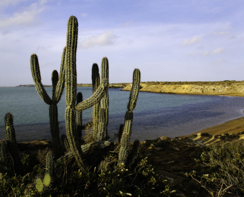 Alta Guajira (photo: Juan Carlos Gonzalez)