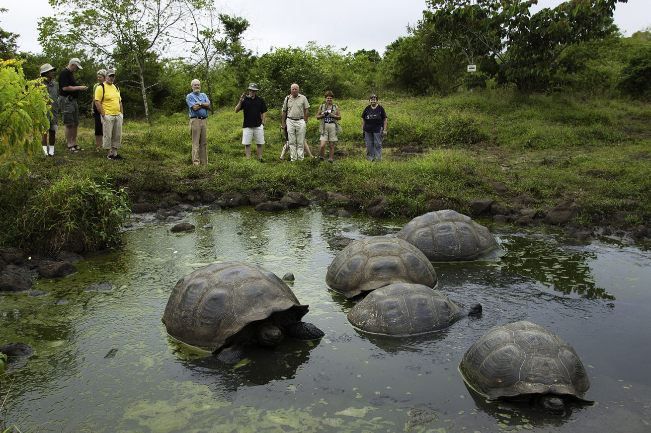 Evolution in Action – Galapagos Island Tours 6
