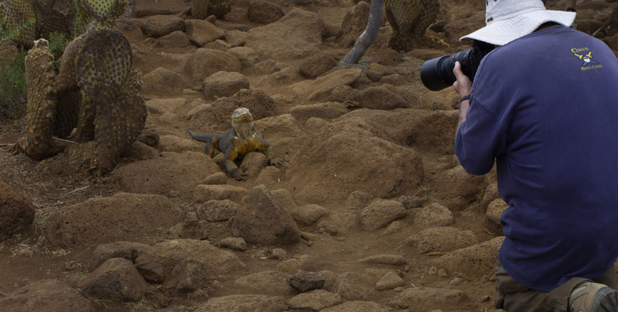 Evolution in Action – Galapagos Island Tours 7