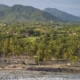 Palomino - Áite Eco-Hotel