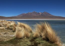 Peru & Bolivia