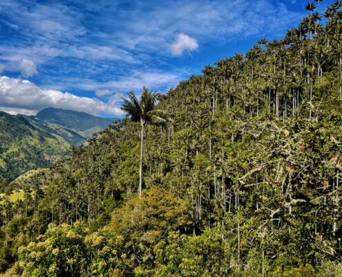 Coffee Land Traverse 2