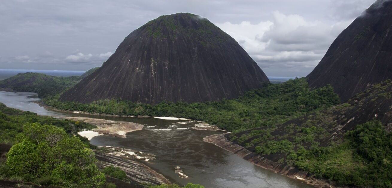 COL RO Guainia CsMavicure JCG 81