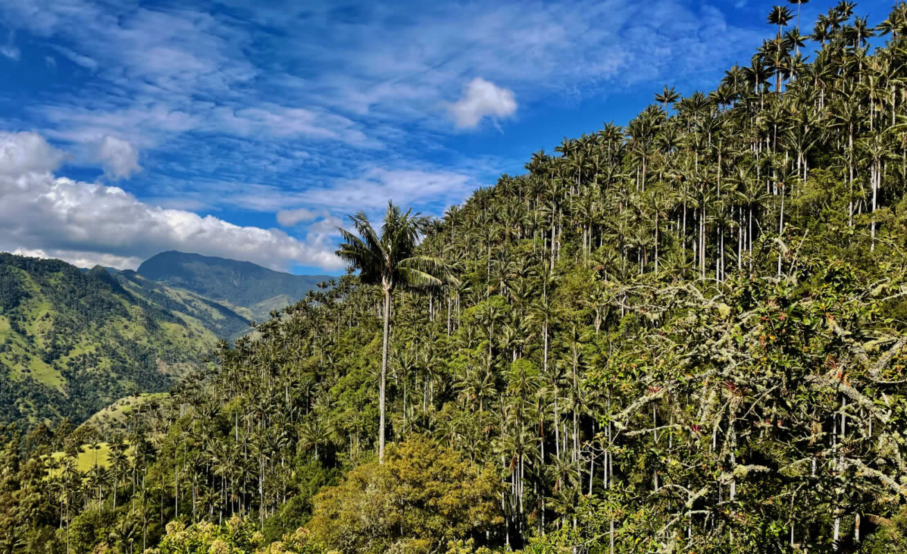 Andes World Travel - DMC 2