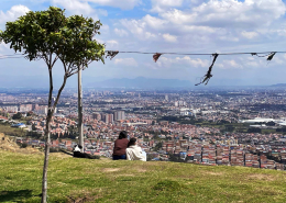 COL RAN BOG CBolivarElParaiso SM 017