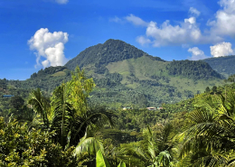 COL RAO JardinAlrededores SM 001