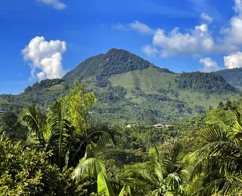 COL RAO JardinAlrededores SM 001