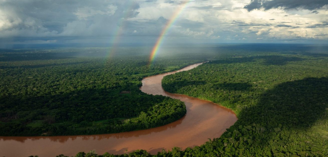 Tambopata River (photo: Marlon Del Aguila for Rainforest Expeditions) Tower view by Marlon Del Aguila 3.jpg 1